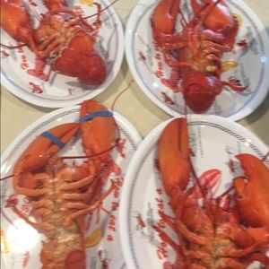 Meet your Posher, Lori anne